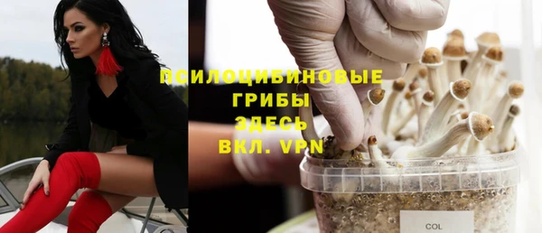 тгк Протвино