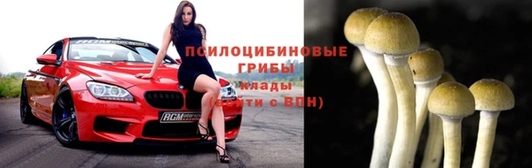 дмт Приозерск