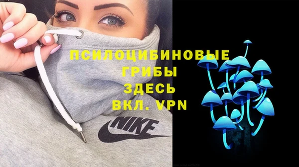 тгк Протвино