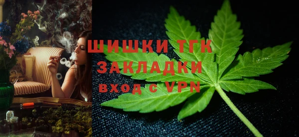 тгк Протвино