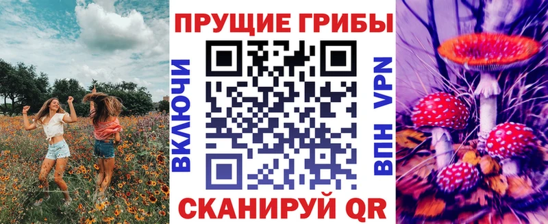 как найти наркотики  Советский  Галлюциногенные грибы GOLDEN TEACHER 